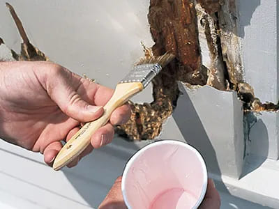 Wet Rot and Dry Rot Repair