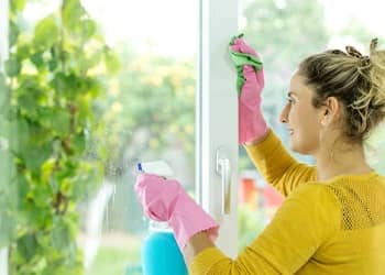 Window and Glass Cleaning