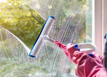 Windows, Mirrors & Glass Surfaces