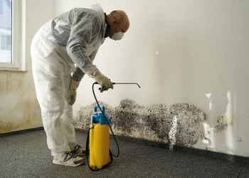 Woodworm & Rot Treatment
